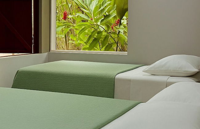 Green Jungle House - Foto 17