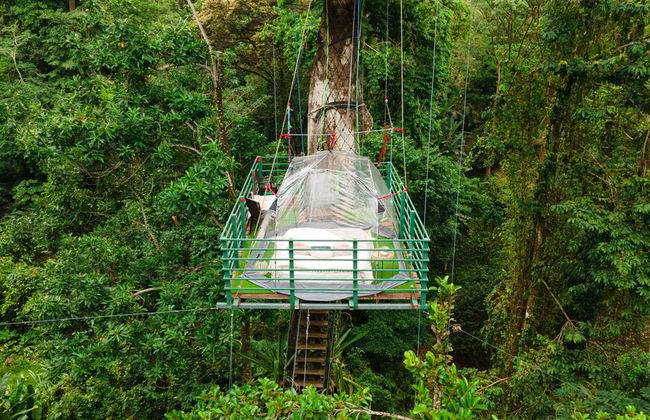 Green Jungle House - Foto 3