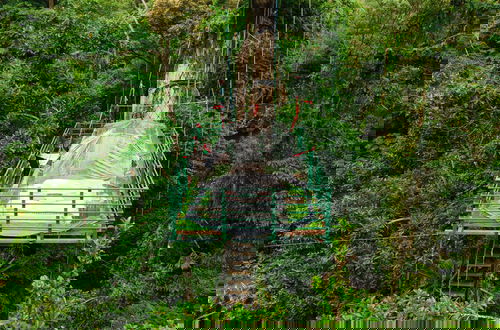 Photo 15 - Green Jungle House