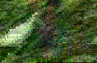 Foto 3 - Green Jungle House