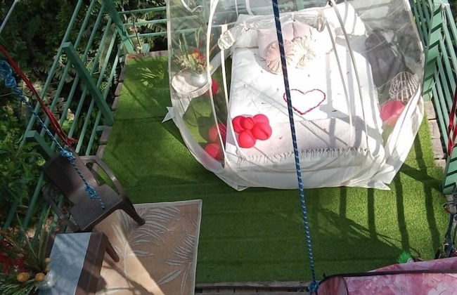 Green Jungle House - Foto 7