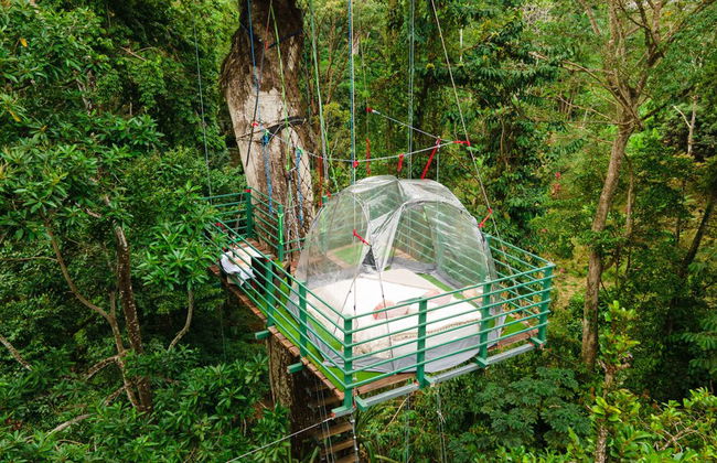 Green Jungle House - Foto 29