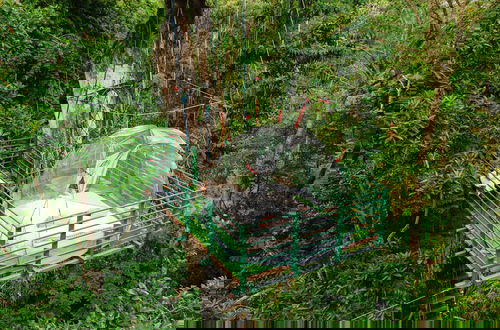 Photo 39 - Green Jungle House