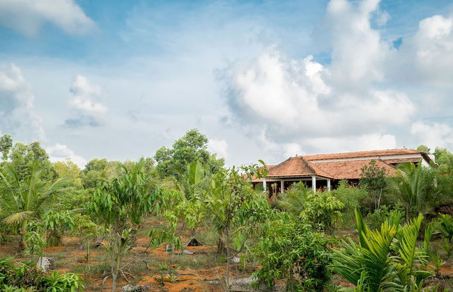 Balkatmane Homestay- A Wandertrails Stay - Foto 25