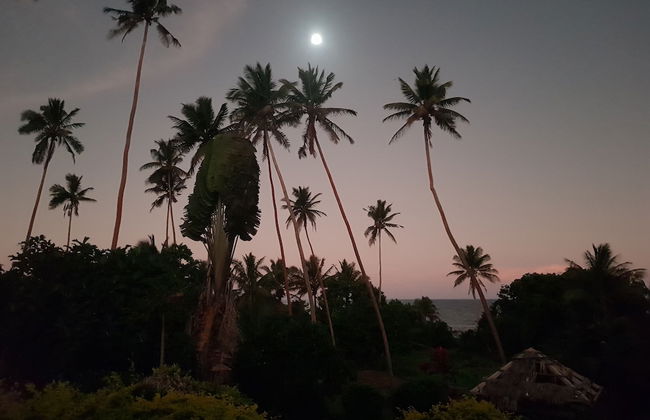 Fiji Lodge Vosa Ni Ua - Foto 31