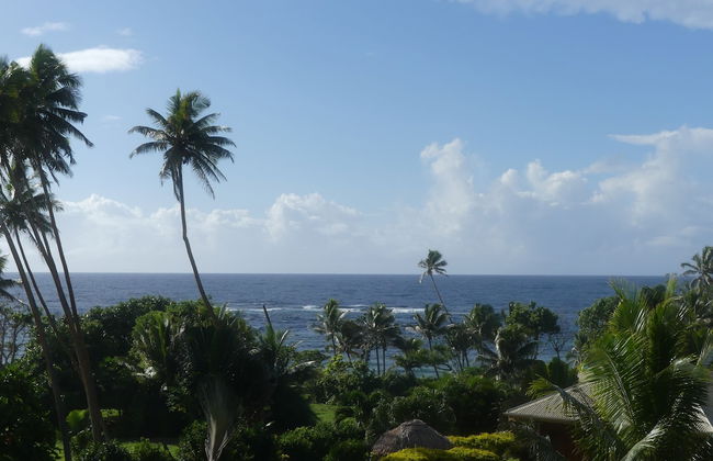 Fiji Lodge Vosa Ni Ua - Foto 18