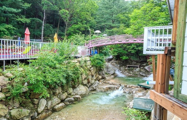 Elsia Pension - Foto 67