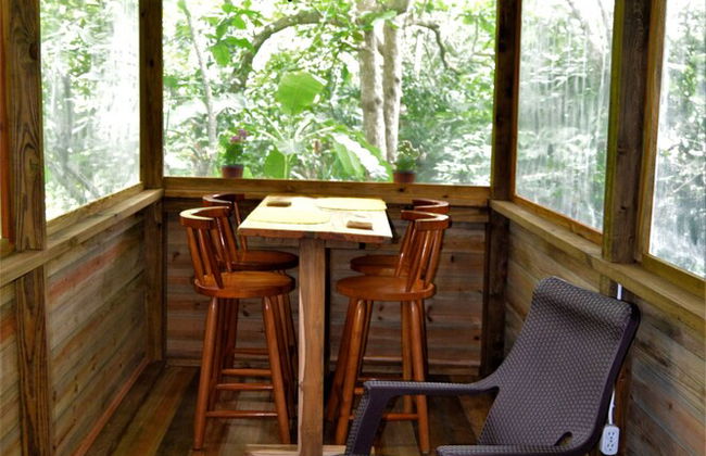 Iguana Roost for Explorers, Families or Travelers Welcome to The Tropical Acre - Photo 10