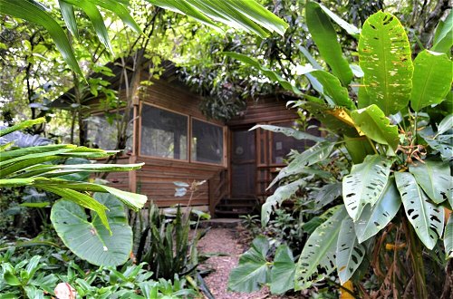 Photo 10 - The Tropical Acre Belize - Purpose Built Rustic Two Bedroomed Vacation Home