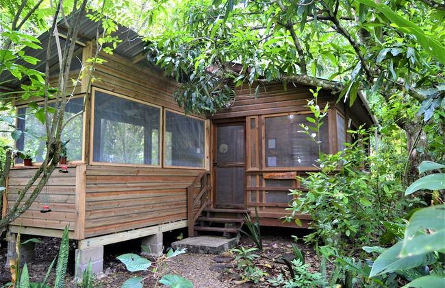 Iguana Roost for Explorers, Families or Travelers Welcome to The Tropical Acre - Photo 17