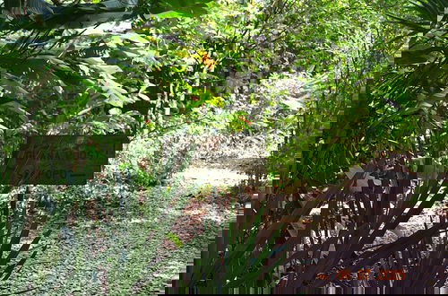 Photo 14 - Wild & Wonderful Family-friendly 'jungle Like' Oasis in San Ignacio Belize