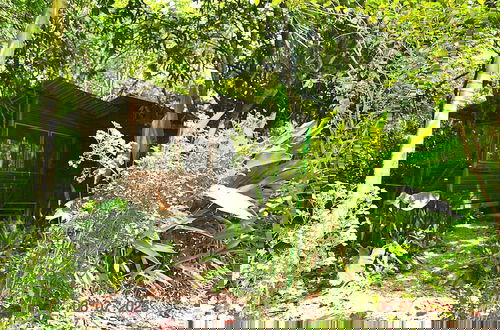 Photo 15 - Wild & Wonderful Family-friendly 'jungle Like' Oasis in San Ignacio Belize