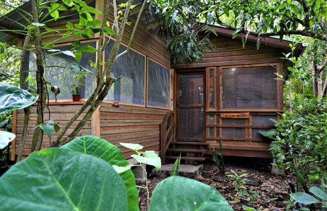 Iguana Roost for Explorers, Families or Travelers Welcome to The Tropical Acre - Photo 25
