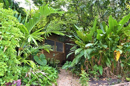 Photo 12 - The Tropical Acre Belize - Purpose Built Rustic Two Bedroomed Vacation Home