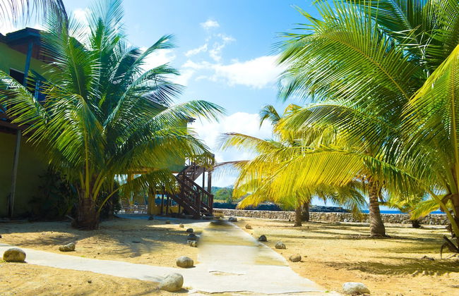 Le Mer Guest House & Villa - Lucea - Foto 28