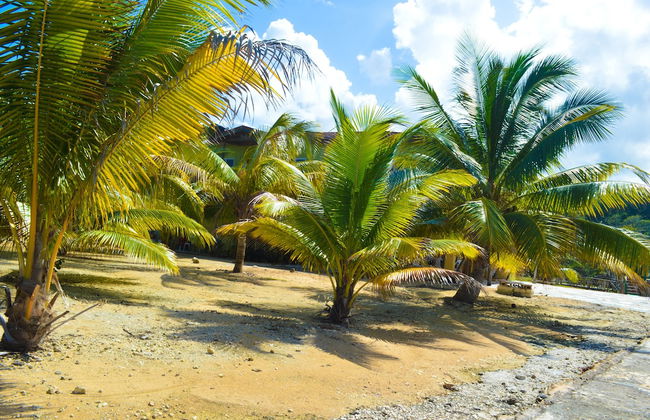 Le Mer Guest House & Villa - Lucea - Foto 30