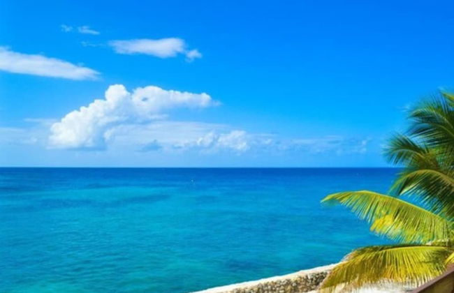 Le Mer Guest House & Villa - Lucea - Foto 29