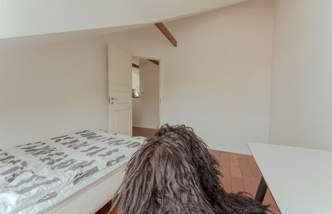 Penthouse - 4BR - Downtown - Harbour - Photo 7