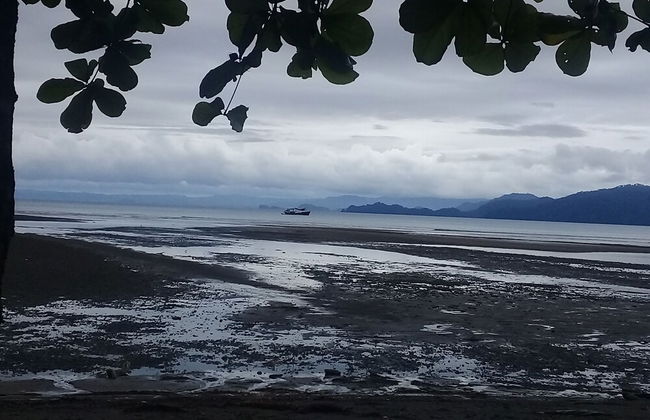 Posada Playa Bonita En Jovi - Photo 6