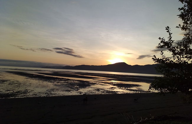 Posada Playa Bonita En Jovi - Photo 9