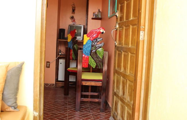 Room in B&B - Cancun Guest House 1 - Photo 8