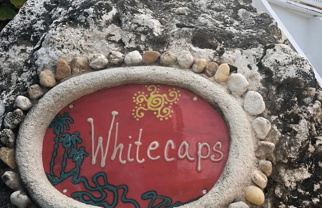 White Caps - Photo 43