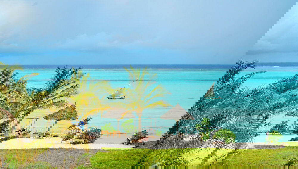 Image principale