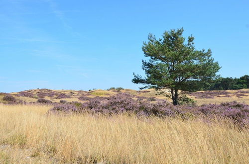 Foto 27 - Detached Holiday House With Wifi and a Large Garden; Hike and Bike the Veluwe