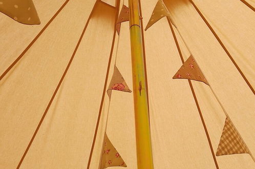 Foto 19 - Luxury 5m Bell Tent With log Burner Near Whitby