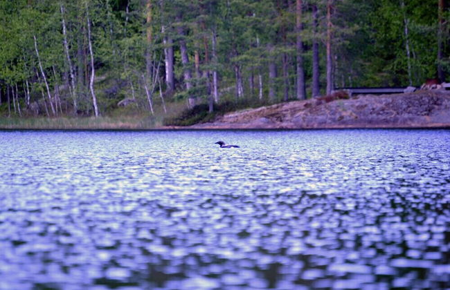 Salkolahti Minttu - Foto 26
