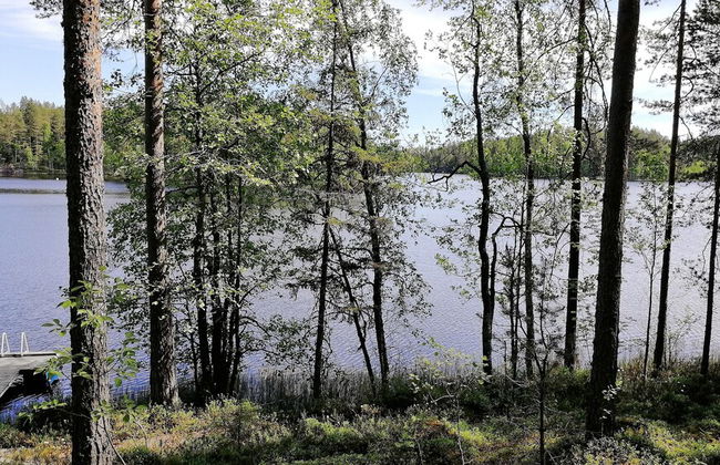 Salkolahti Minttu - Foto 24