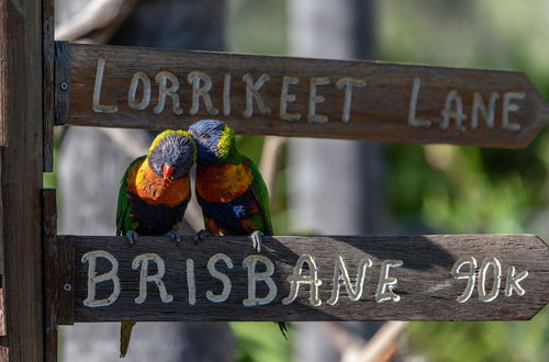 Photo 28 - Esk Caravan Park & Motel