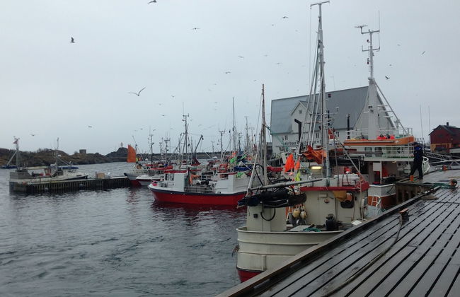 Live Lofoten Fisherman's Cabins - Photo 32