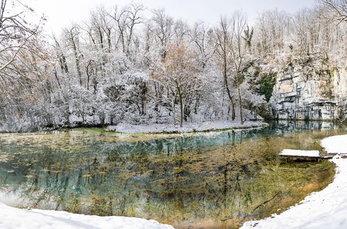 Photo 24 - House Kolpa Paradise Whirlpool And Sauna