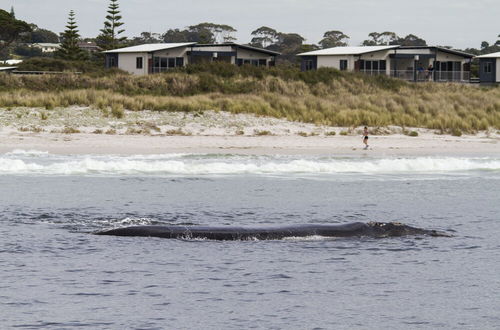 Photo 57 - BIG4 Middleton Beach Holiday Park