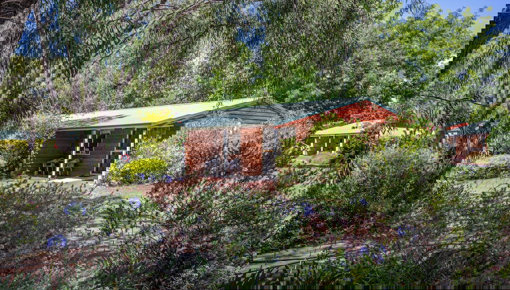 Imagem principal