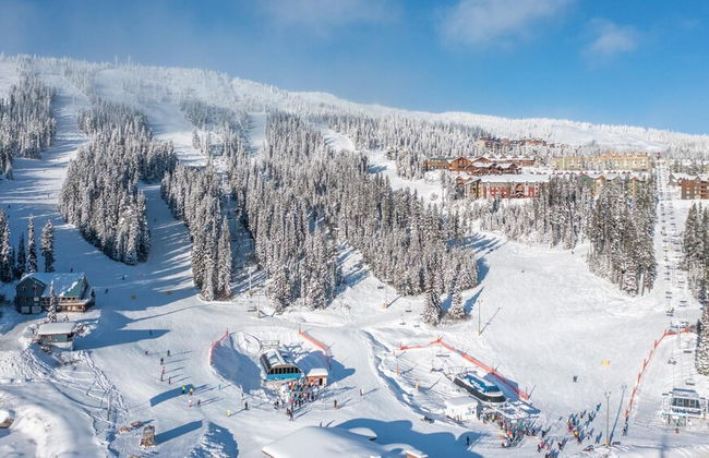 I Spy - Cozy Pet Friendly, Ski In/Ski Out Condo with Private Hot Tub - Foto 17