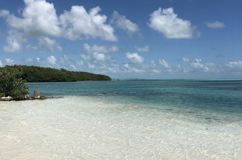 Photo 35 - Shaka Caye