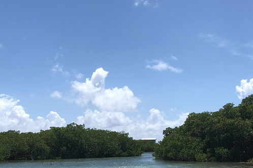 Photo 33 - Shaka Caye