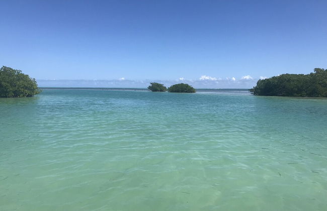 Shaka Caye - Foto 66
