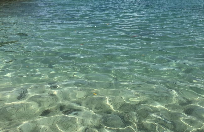 Shaka Caye - Foto 32