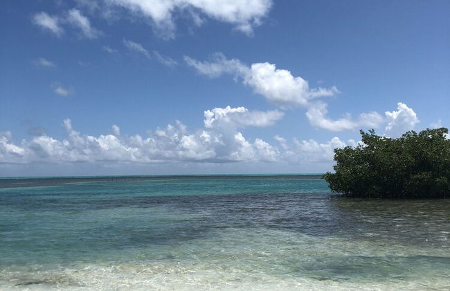 Shaka Caye - Foto 58