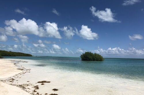 Photo 63 - Shaka Caye