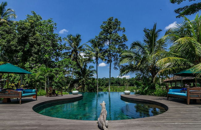 Permata Ayung Private Estate - Foto 80