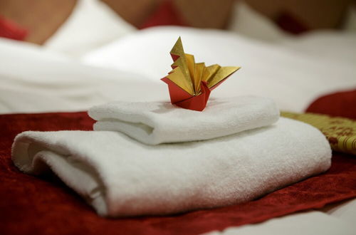 Photo 14 - ORIGAMI STAY -Futatsubashicho-