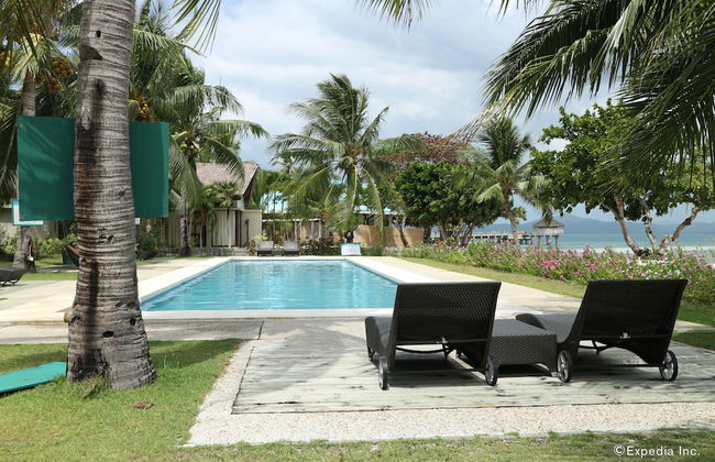 Dos Palmas Island Resort & Spa - Foto 27