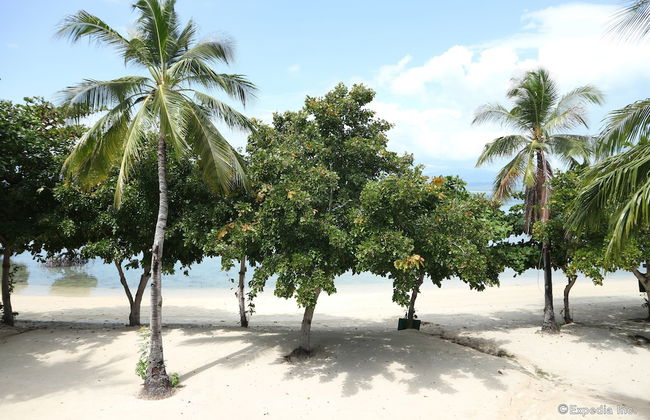 Dos Palmas Island Resort & Spa - Foto 76