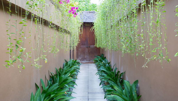 Entrada (vista interior)