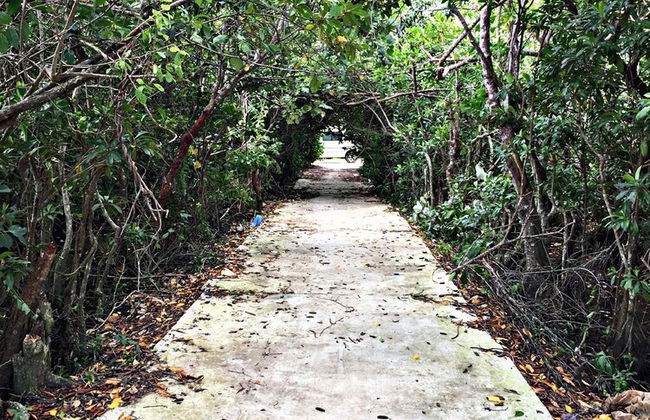 Thaaru Guest - Photo 33