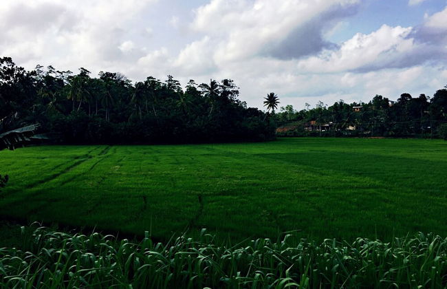 Thaaru Guest - Photo 27